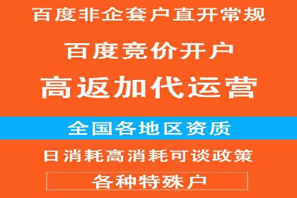 百度SEO推广公司成功案例：助力企业实现流量暴增